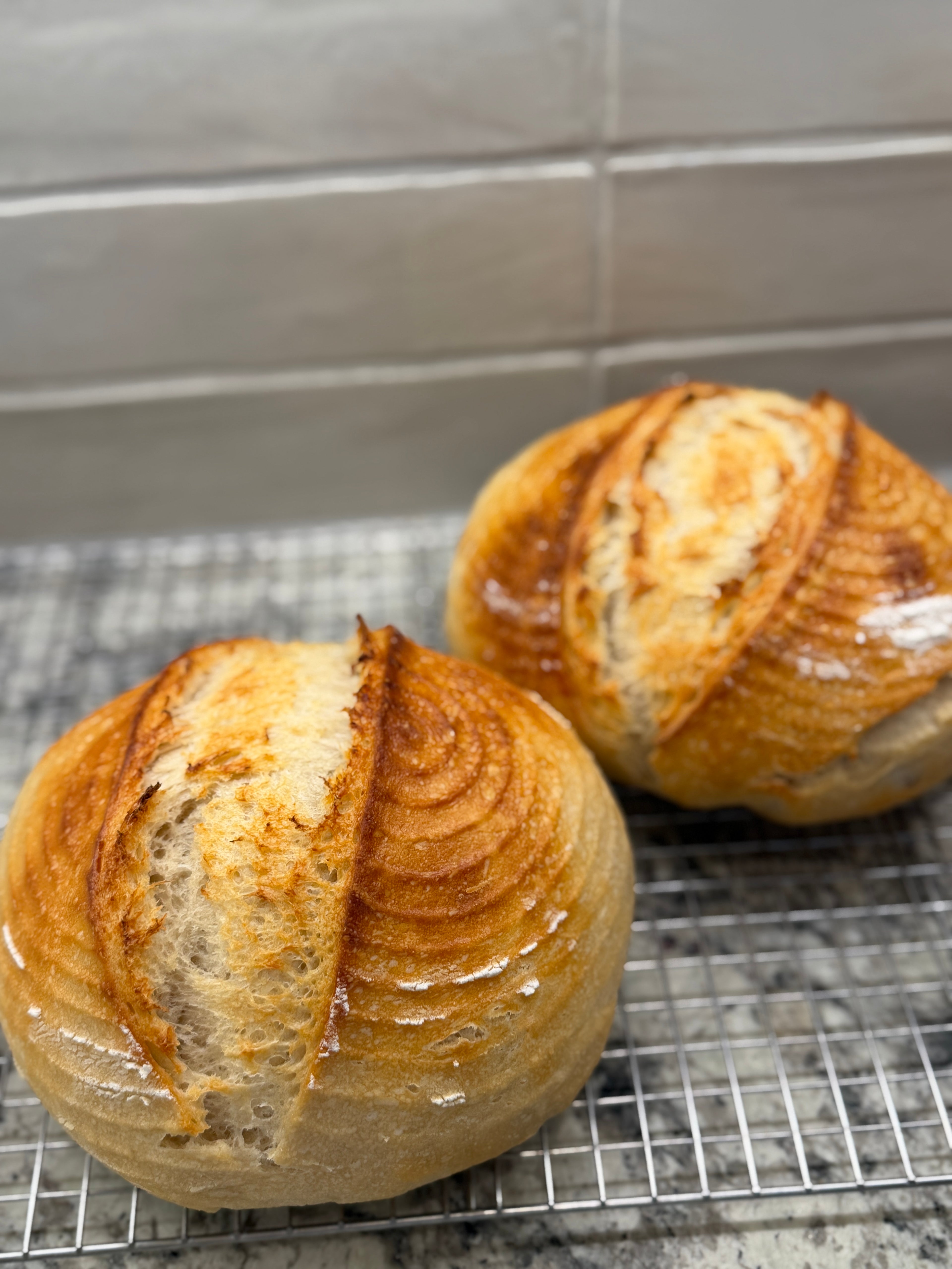 Homemade Food