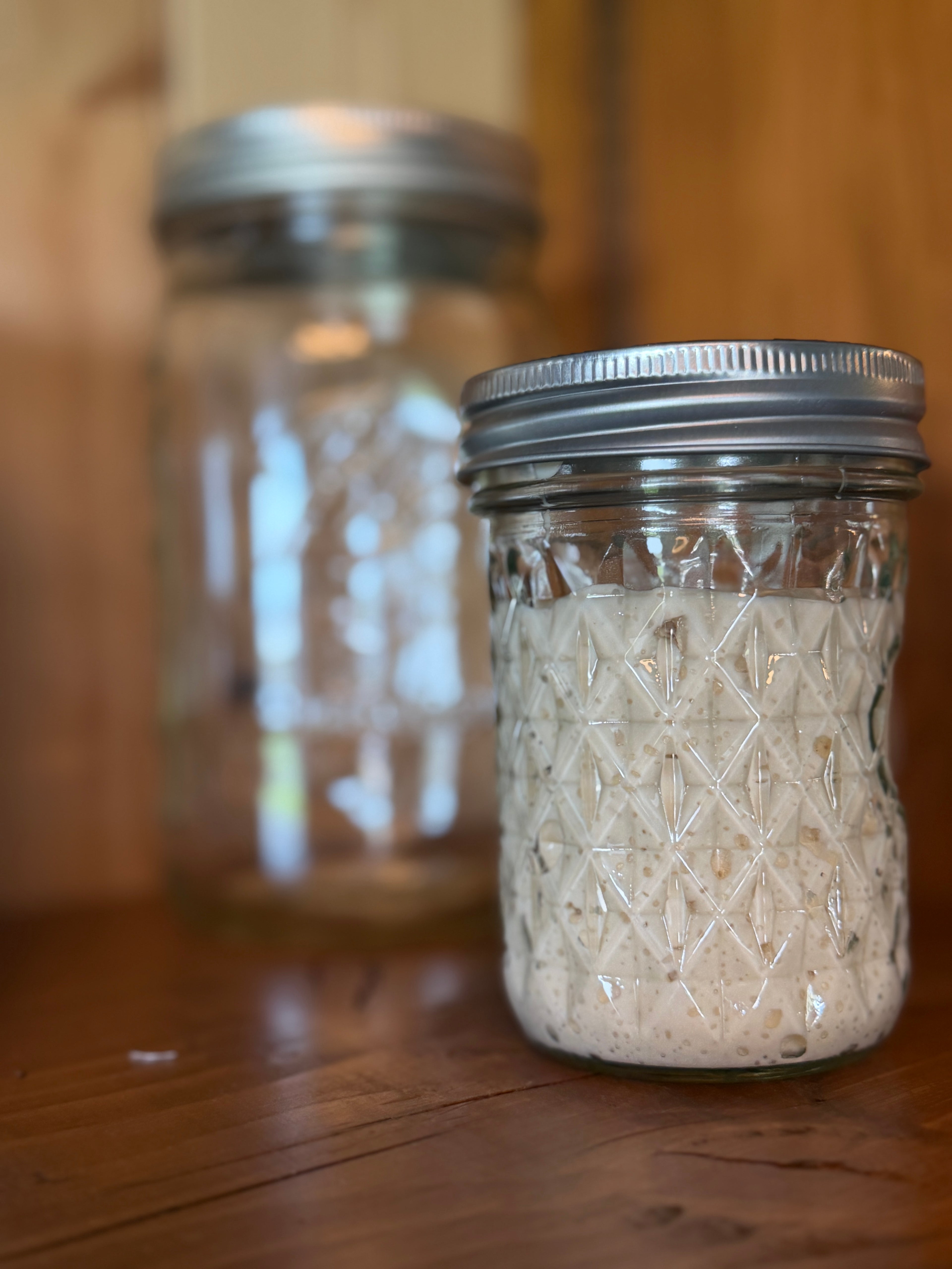 Active Sourdough Starter