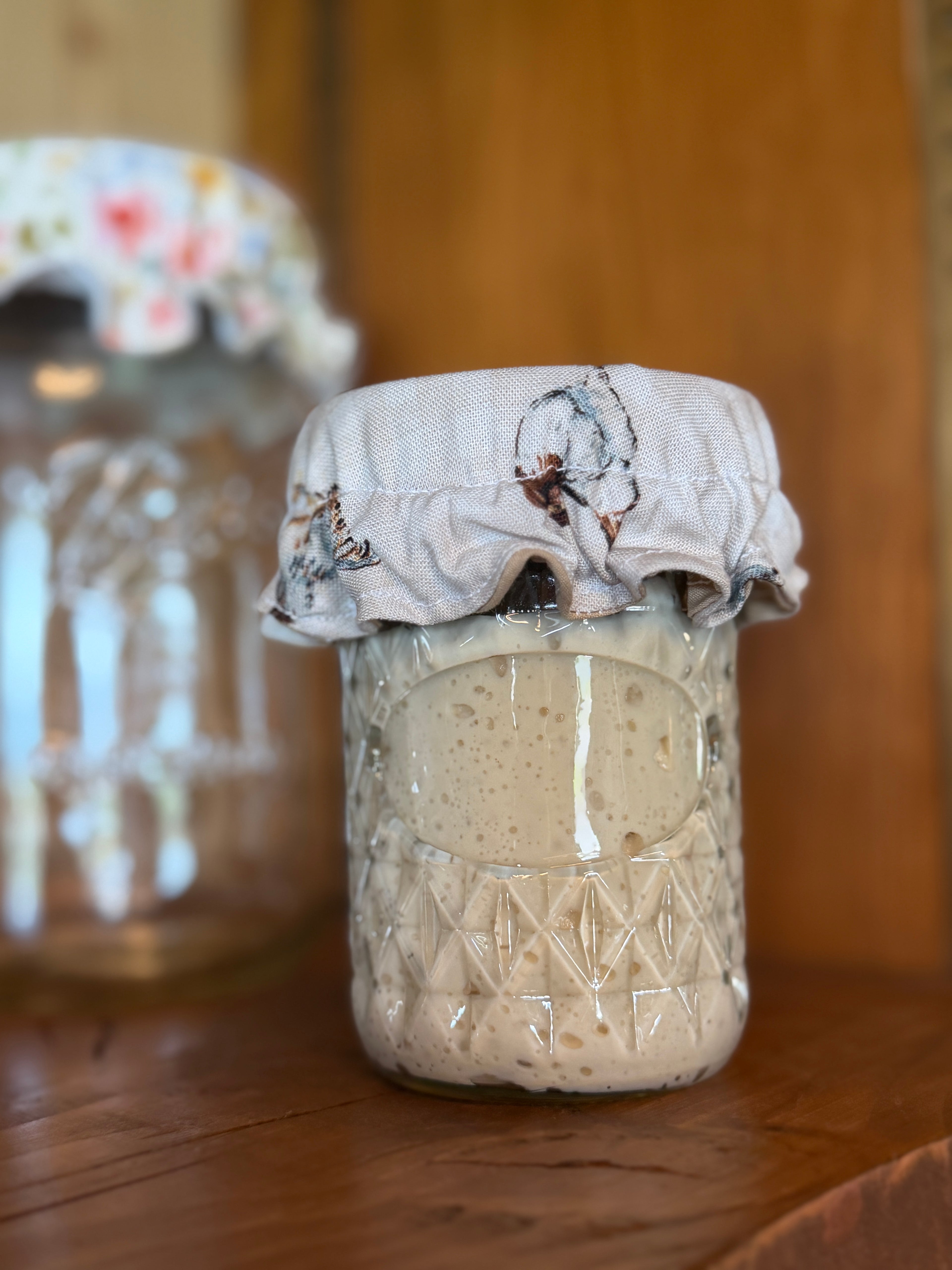 Active Sourdough Starter