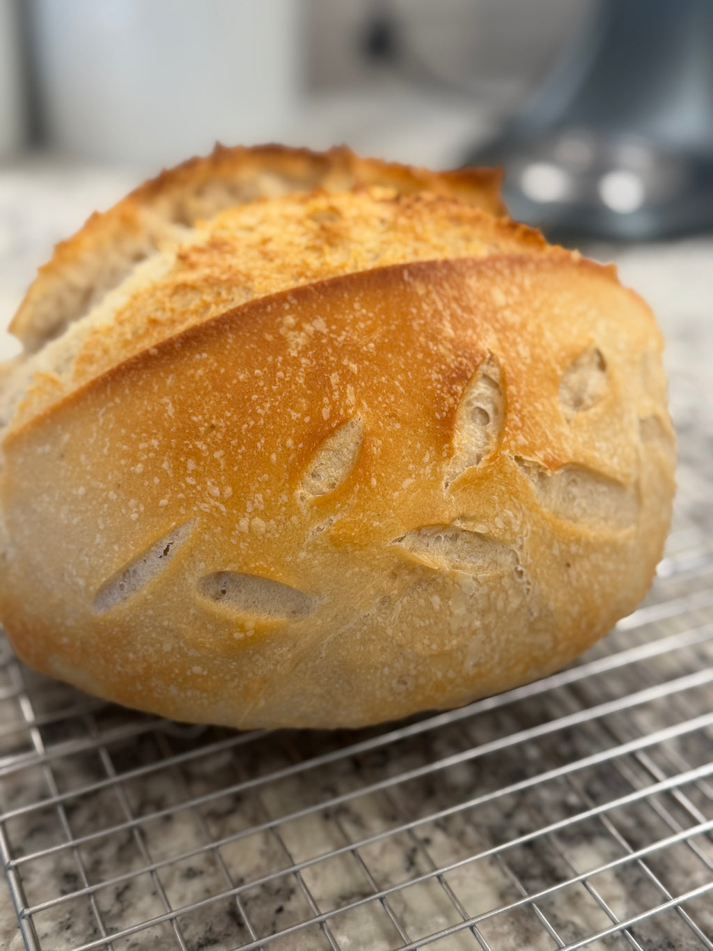 Plain Sourdough