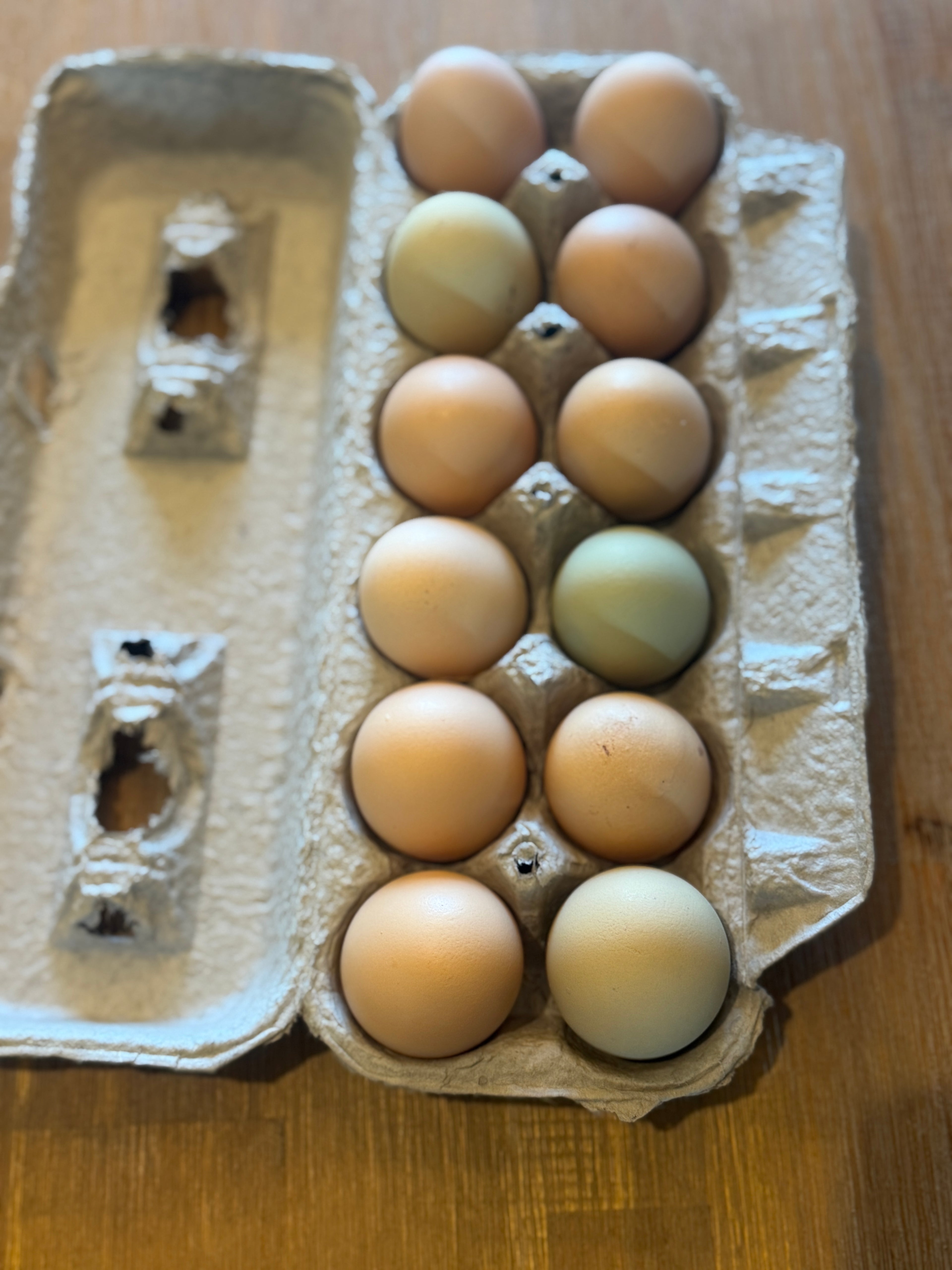 Farm Fresh Eggs