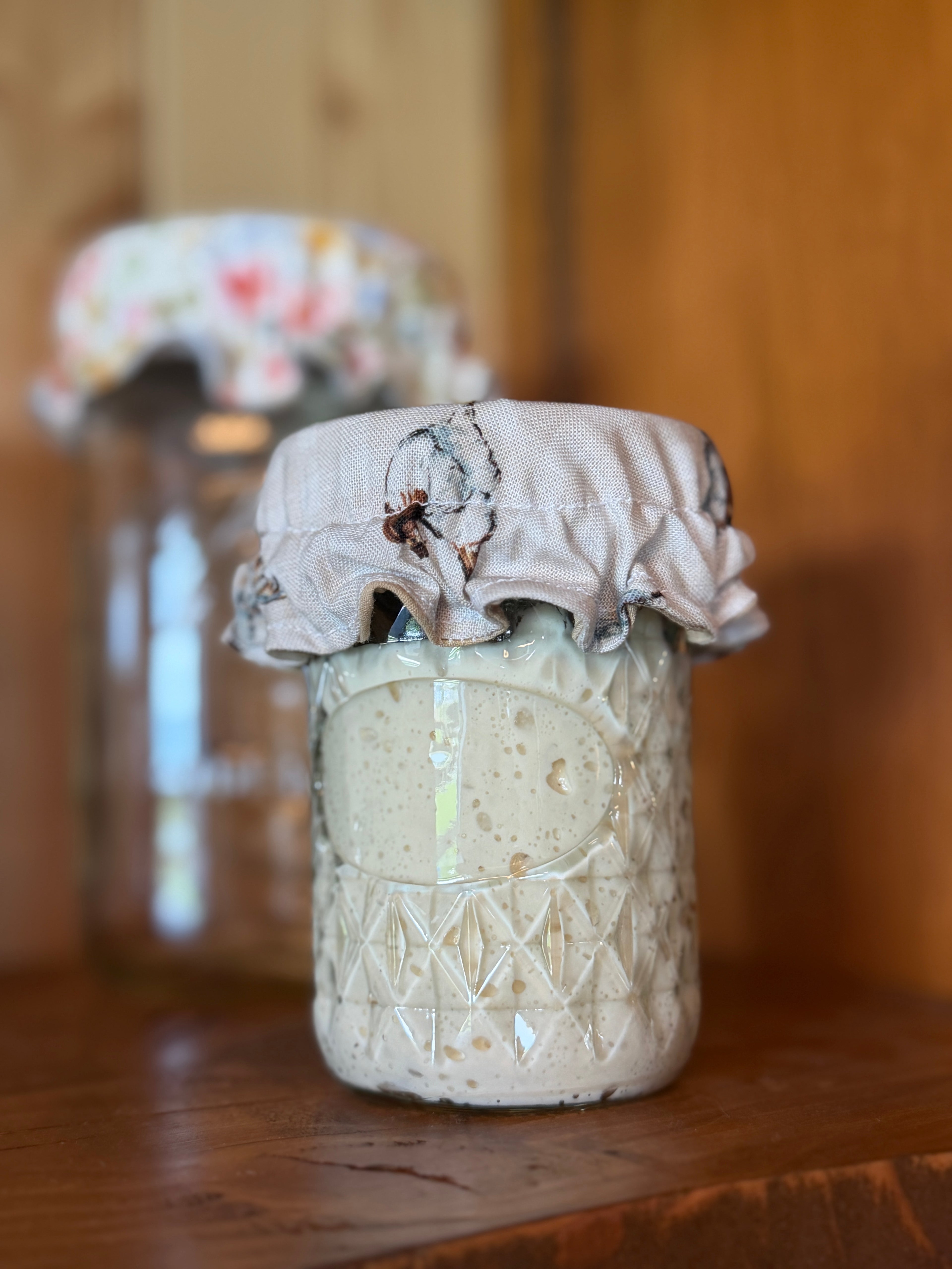 Active Sourdough Starter