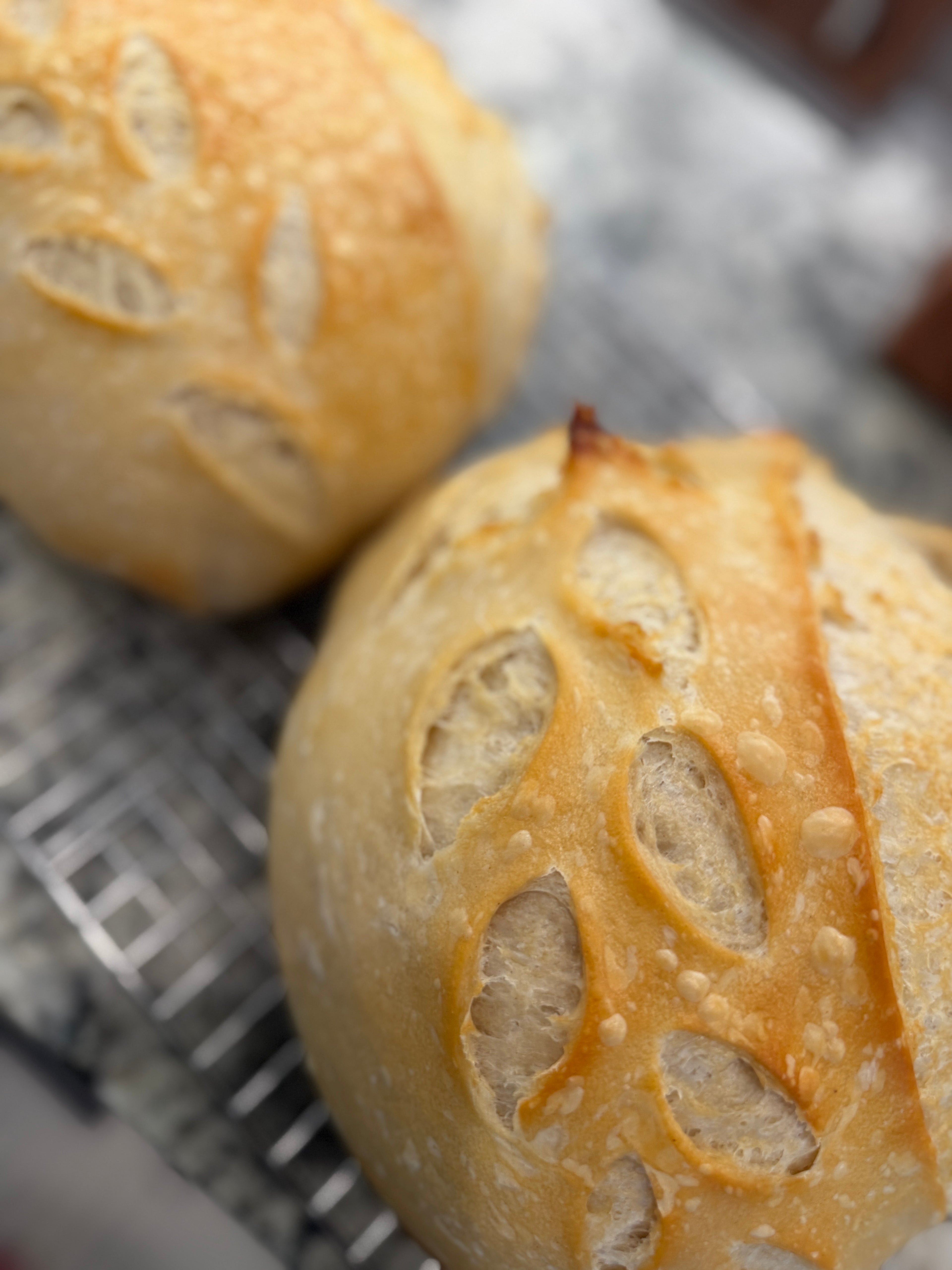 Plain Sourdough