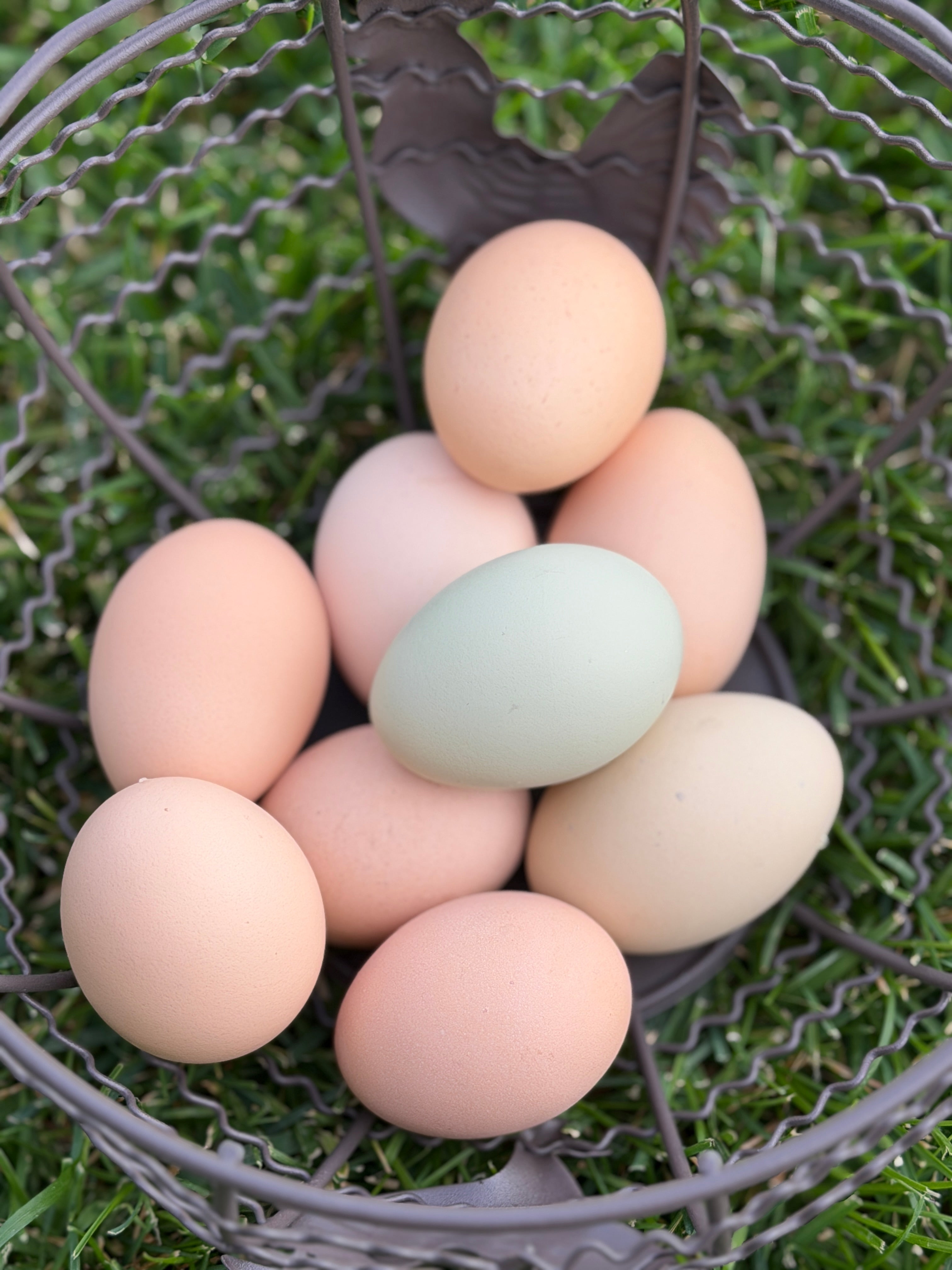 Farm Fresh Eggs